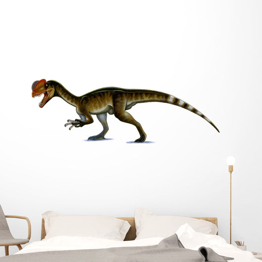 Dilophosaurus Wetherilli Wall Decal