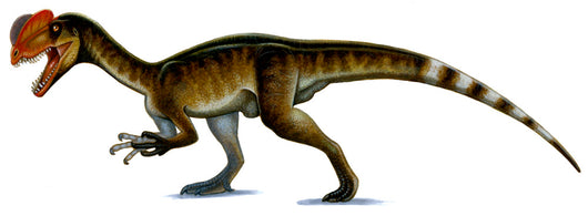 Dilophosaurus Wetherilli Wall Decal