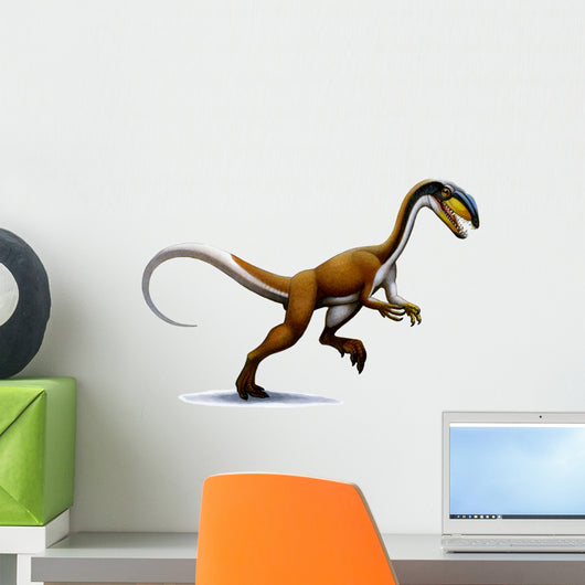 Megapnosaurus Small Dinosaur from Wall Decal