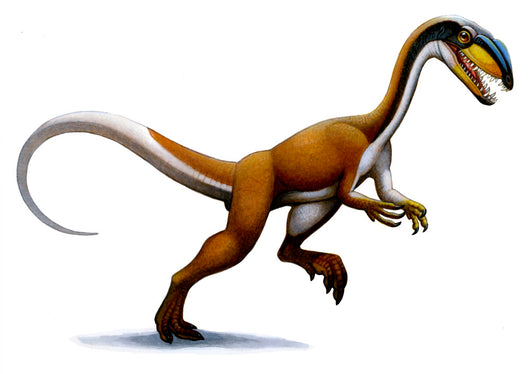 Megapnosaurus Small Dinosaur from Wall Decal