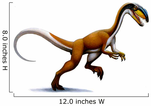 Megapnosaurus Small Dinosaur from Wall Decal