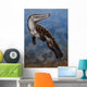 Ambulocetus Natans Early Cetacean Wall Decal