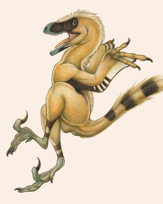 Bambiraptor Bird-like Dromaeosaurid Dinosaur Wall Decal