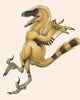 Bambiraptor Bird-like Dromaeosaurid Dinosaur Wall Decal
