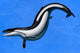 Basilosaurus Marine Mammal Lived Wall Decal