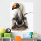 Dilophosaurus Dinosaur Jurassic Period Wall Decal