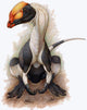 Dilophosaurus Dinosaur Jurassic Period Wall Decal