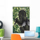 Suspicious Deinonychus Antirrhopus from Wall Decal
