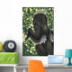 Suspicious Deinonychus Antirrhopus from Wall Decal
