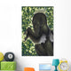 Suspicious Deinonychus Antirrhopus from Wall Decal