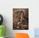 Velociraptor Dromaeosaurid Dinosaur Cretaceous Wall Decal