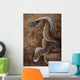 Velociraptor Dromaeosaurid Dinosaur Cretaceous Wall Decal