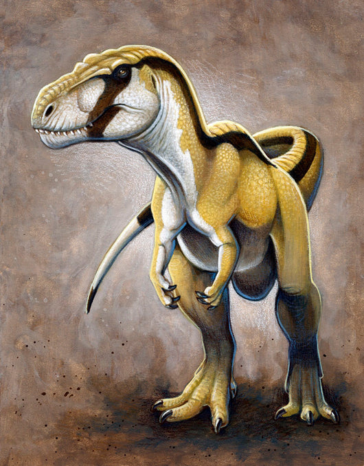 Megalosaurus Large Meat-eating Dinosaur Wall Decal