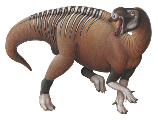 Muttaburrasaurus Dinosaur from Early Wall Decal