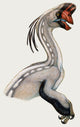Oviraptor Small Dinosaur Lived Wall Decal