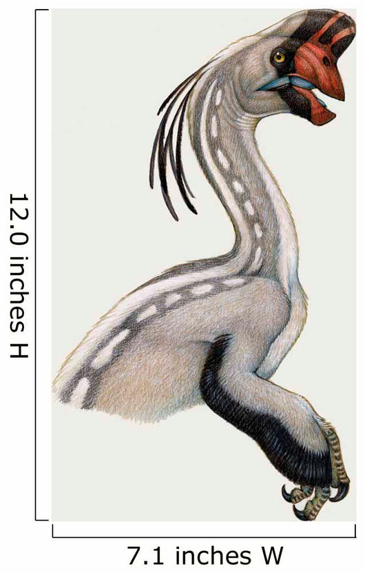 Oviraptor Small Dinosaur Lived Wall Decal