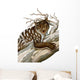 Thylacoleo Marsupial Lion from Wall Decal