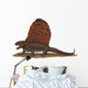 Dimetrodon Apex Predator during Wall Decal