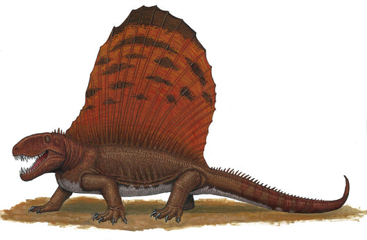 Dimetrodon Apex Predator during Wall Decal