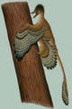 Microraptor Gui Small Theropod Wall Decal