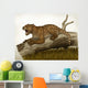 Thylacoleo Carnifex Marsupial and Wall Decal
