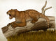 Thylacoleo Carnifex Marsupial and Wall Decal