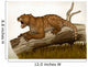 Thylacoleo Carnifex Marsupial and Wall Decal