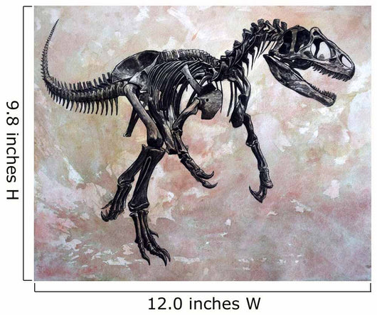 Allosaurus Dinosaur Skeleton Wall Decal