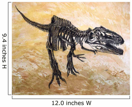 Giganotosaurus Dinosaur Skeleton Wall Decal