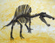 Spinosaurus Dinosaur Skeleton Wall Decal