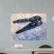 Mosasaurus Dinosaur Skull Wall Decal