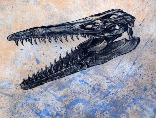 Mosasaurus Dinosaur Skull Wall Decal