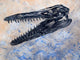Mosasaurus Dinosaur Skull Wall Decal