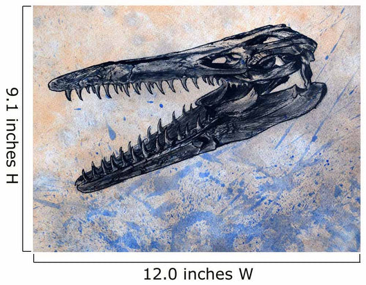 Mosasaurus Dinosaur Skull Wall Decal