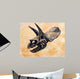 Triceratops Dinosaur Skull Wall Decal