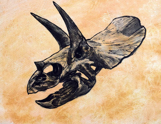 Triceratops Dinosaur Skull Wall Decal