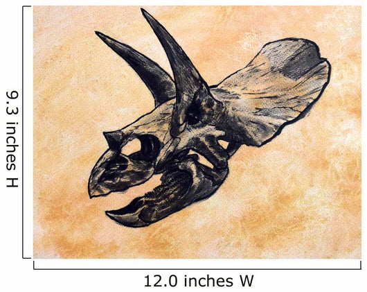 Triceratops Dinosaur Skull Wall Decal
