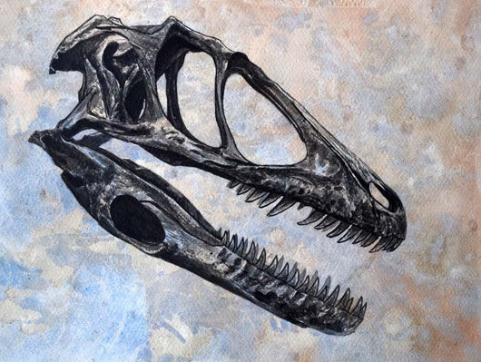 Deinonychus Dinosaur Skull Wall Decal