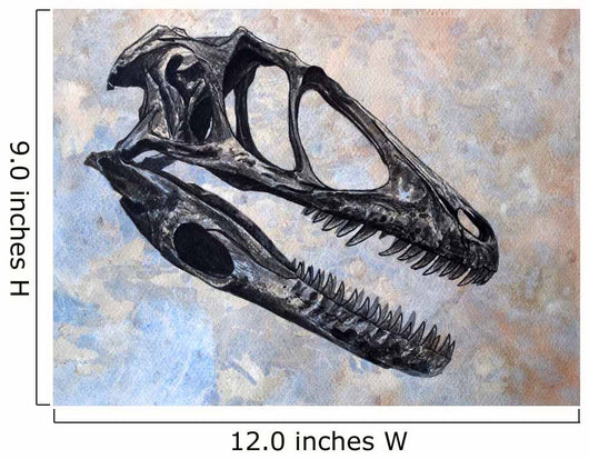 Deinonychus Dinosaur Skull Wall Decal