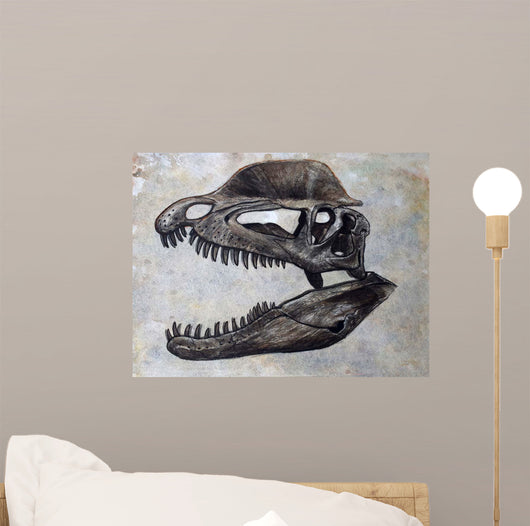 Dilophosaurus Dinosaur Skull Wall Decal