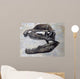 Dilophosaurus Dinosaur Skull Wall Decal