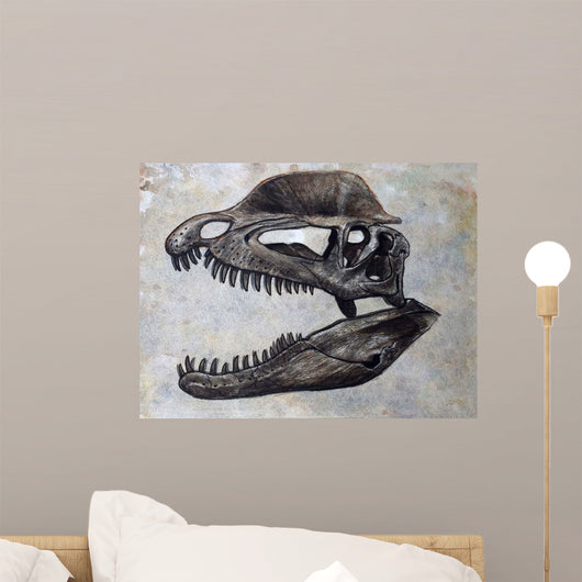 Dilophosaurus Dinosaur Skull Wall Decal