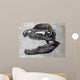 Dilophosaurus Dinosaur Skull Wall Decal