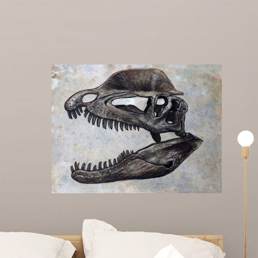 Dilophosaurus Dinosaur Skull Wall Decal