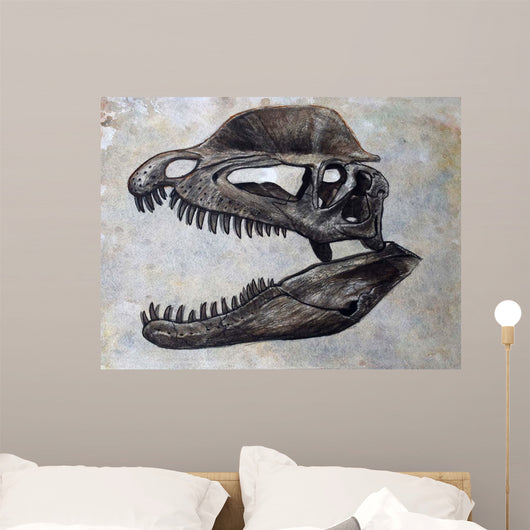 Dilophosaurus Dinosaur Skull Wall Decal
