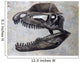 Dilophosaurus Dinosaur Skull Wall Decal