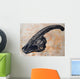 Parasaurolophus Walkerii Dinosaur Skull Wall Decal