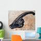 Parasaurolophus Walkerii Dinosaur Skull Wall Decal