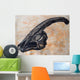 Parasaurolophus Walkerii Dinosaur Skull Wall Decal