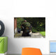 Soldier Belgian Army Investigating Wall Decal